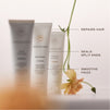 Healthy Hair Treatment Trio