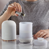 Focus the Mind Essential Oil Blend