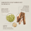 Mini Hair Renew Scalp Hairbath