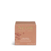 Cosy Nights 1 Wick Candle