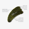 Jade Body Gua Sha