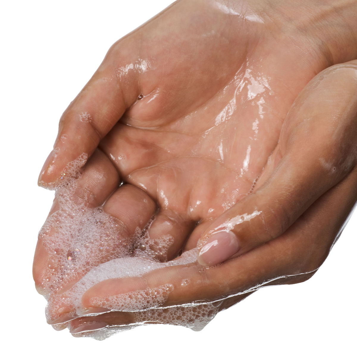 Mini Palm Wild Hand Wash