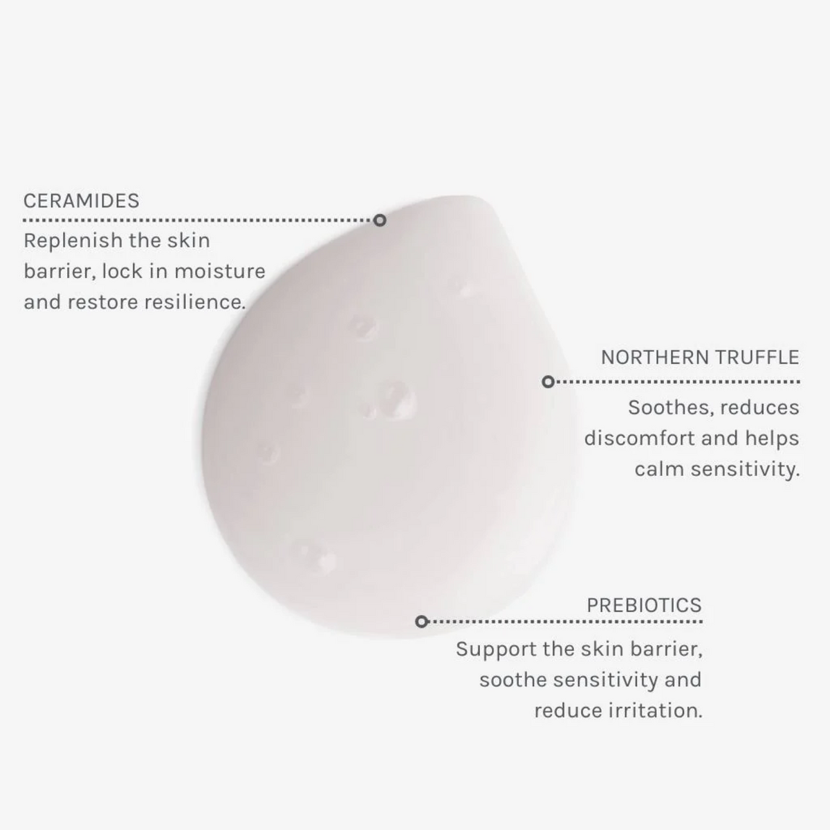 Soothing Ceramide Cleansing Milk