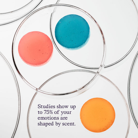 Confidence Mood Jelly Functional Fragrance