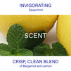Mint Tea Body Smoothing Milk