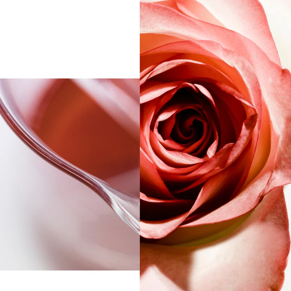 Apothecary Wild Rose Brightening Sleeping Facial