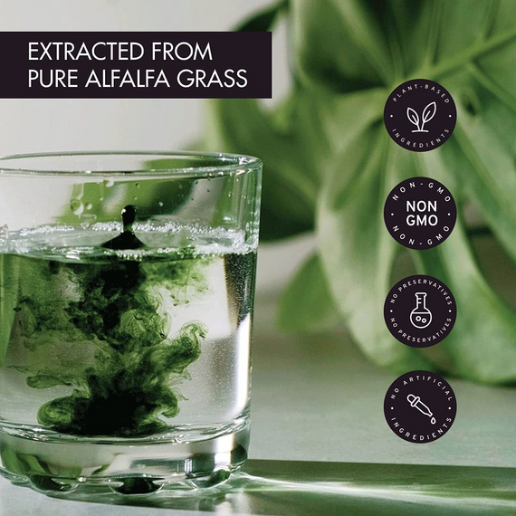 Liquid Chlorophyll (125ml)