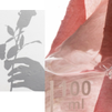 Apothecary Wild Rose 15% Vitamin C Spotless Serum