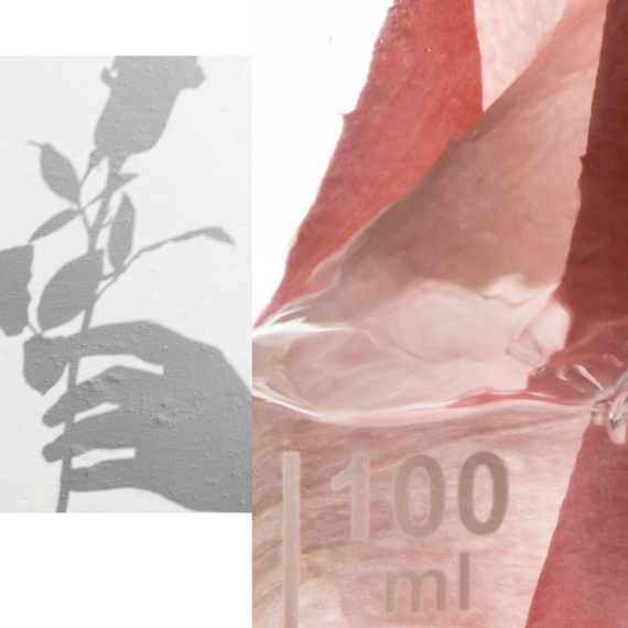 Apothecary Wild Rose 15% Vitamin C Spotless Serum