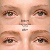 Argan Brow Hero (Various Shades)