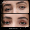 Cashmere Matte Eyelights (Various Shades)