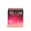 Christmas Wish Scented Candle (1 Wick)