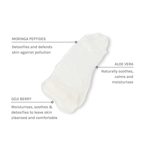 Mini Daily Detox Facial Wash