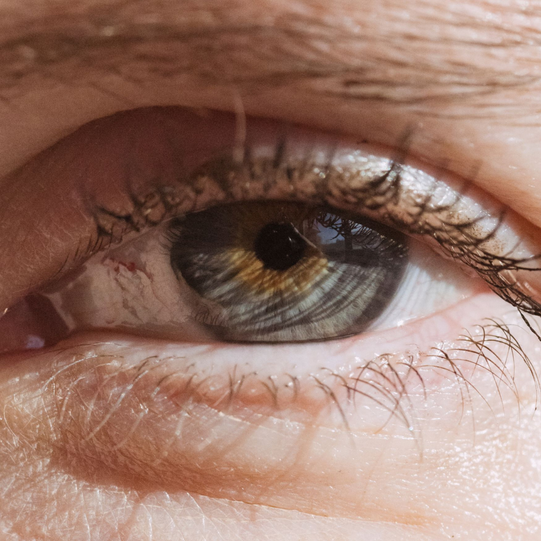 Eye Wonder Nutri-Active Eye Serum