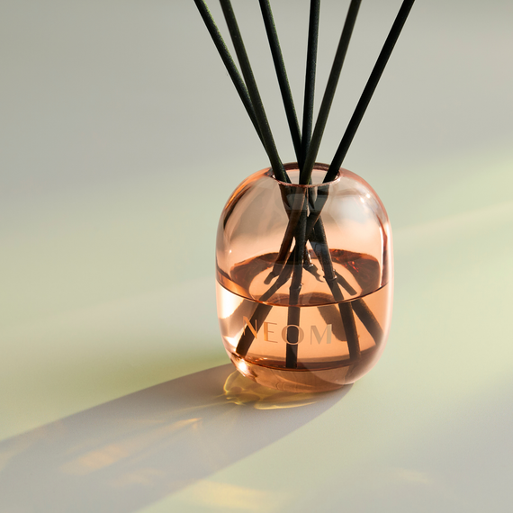 Feel Refreshed Reed Diffuser