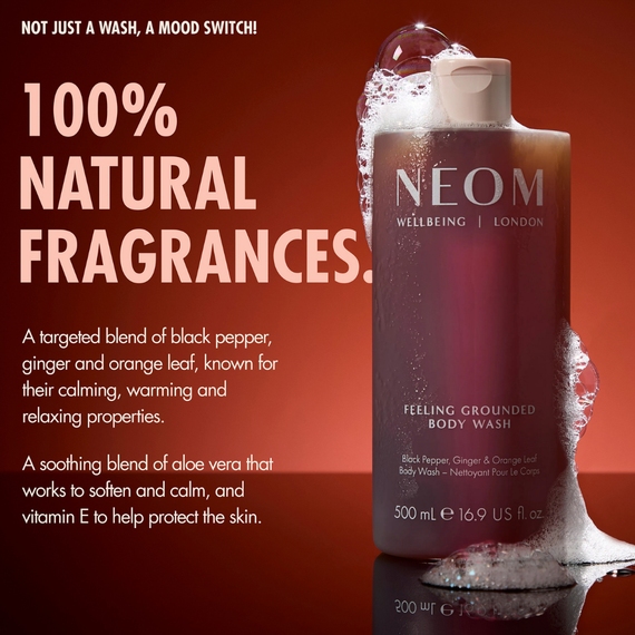 Feeling Grounded Body Wash