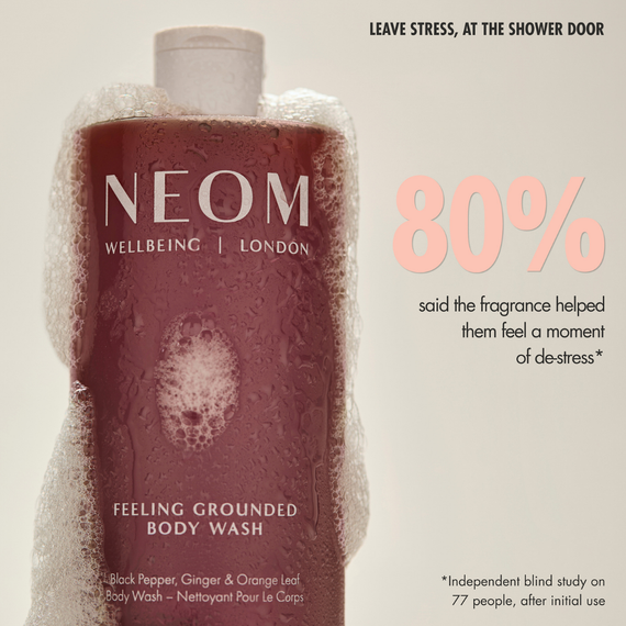 Feeling Grounded Body Wash
