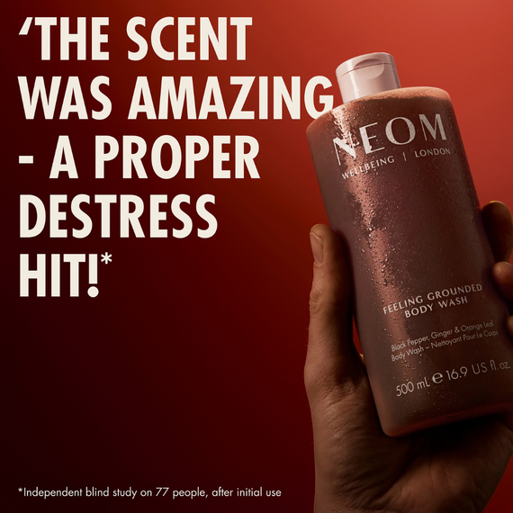 Feeling Grounded Body Wash
