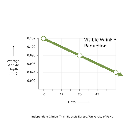 Hibiscus Serum