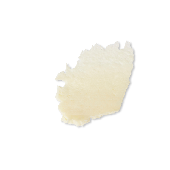 Lip Treat Vegan Lip Balm