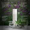 Lavender Face Cream