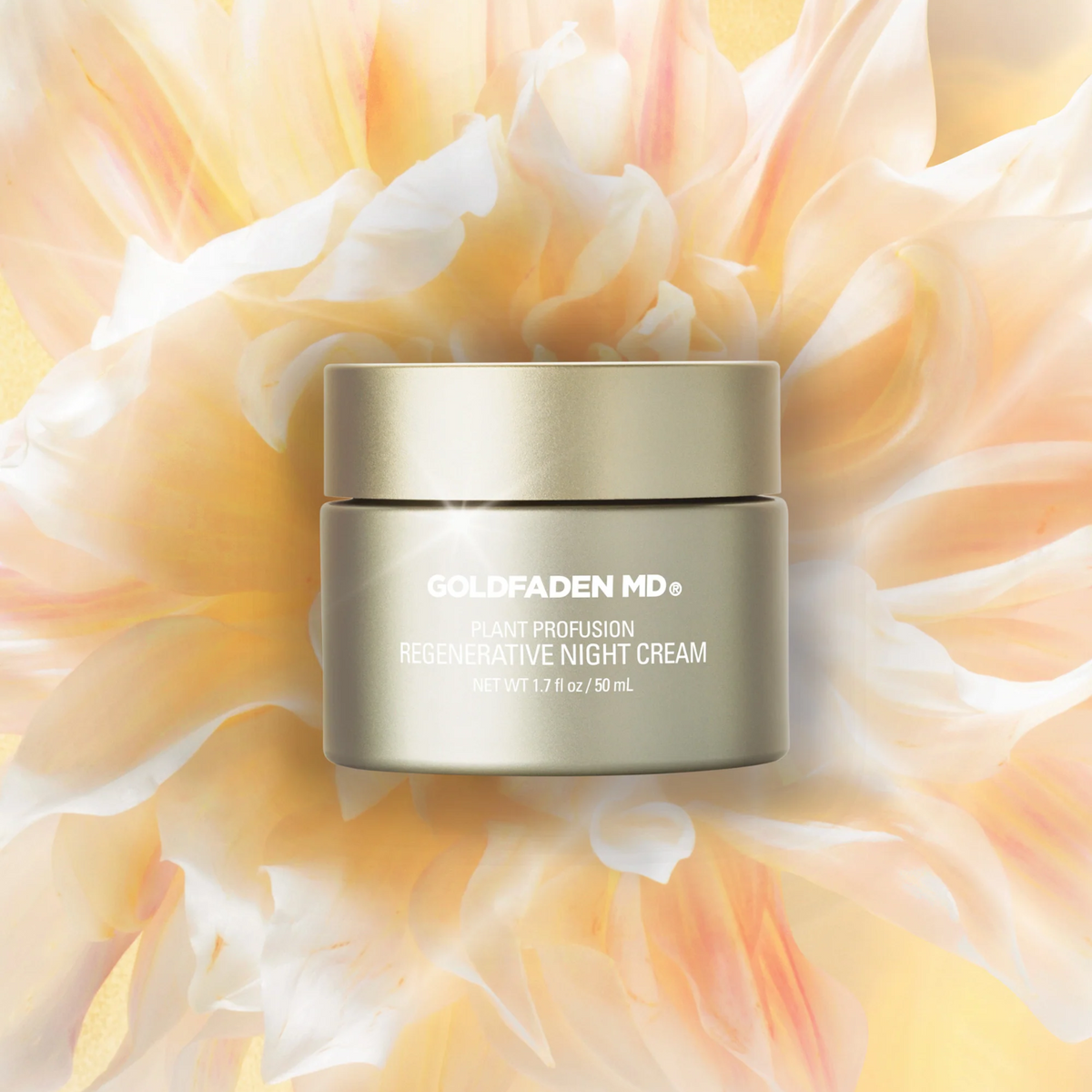 Plant Profusion Night Cream