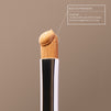Revitalize Hydra Concealer (Various Shades)