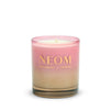 Sparkling Joy Scented Candle (1 Wick)
