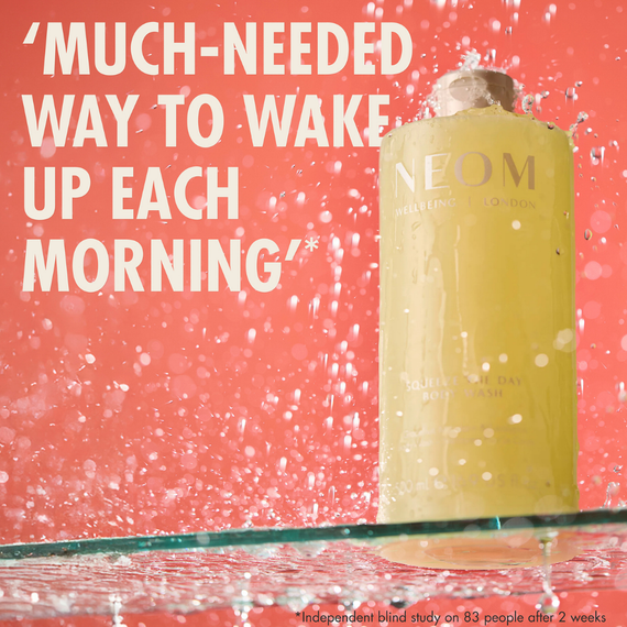 Squeeze The Day Body Wash